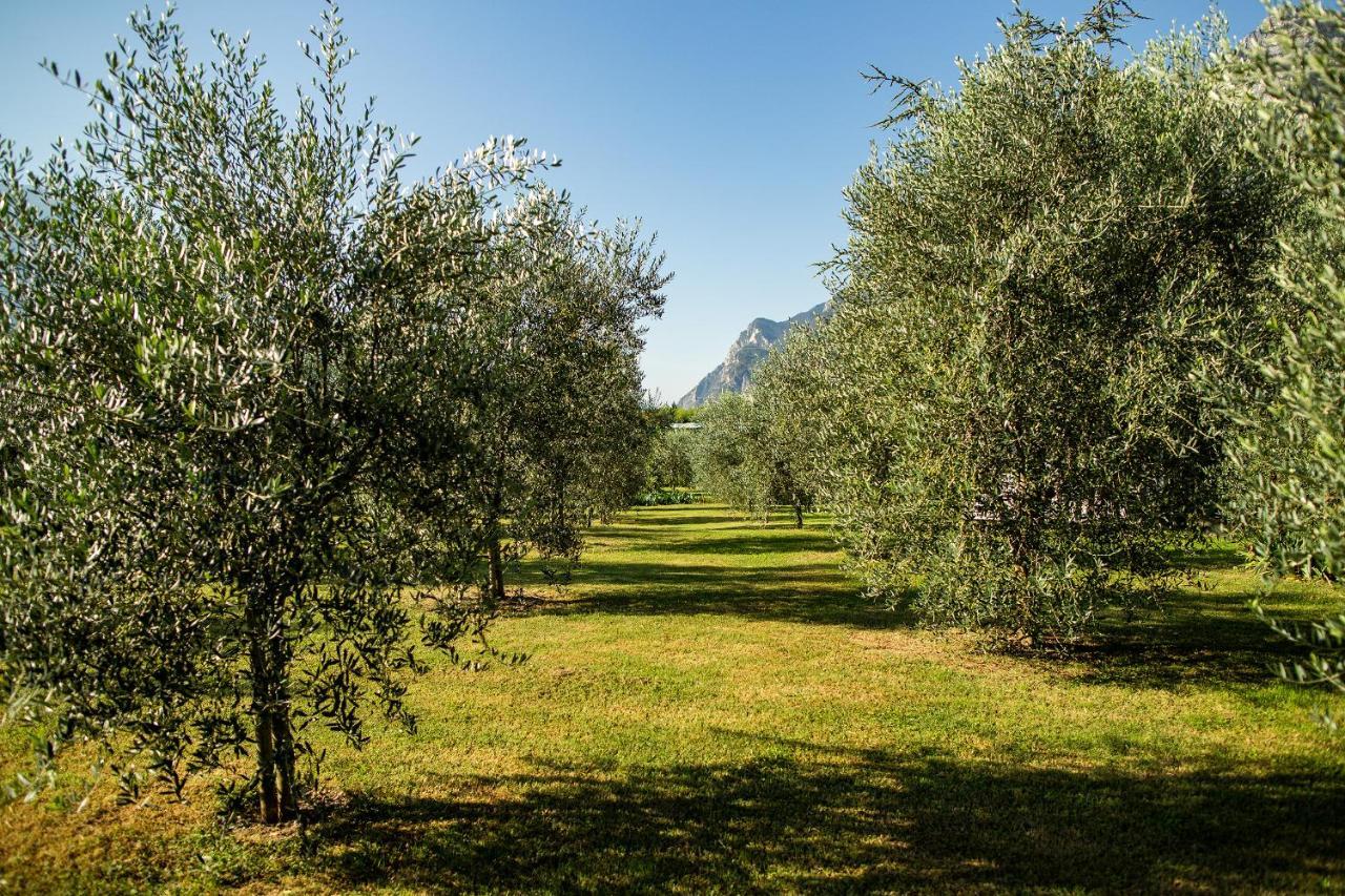Agriturismo Casa Di Campagna Riva del Garda Exterior photo