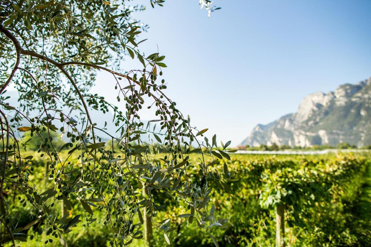 Agriturismo Casa Di Campagna Riva del Garda Exterior photo